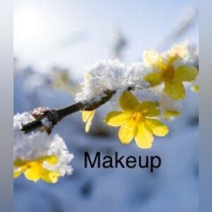 Assorted makeup